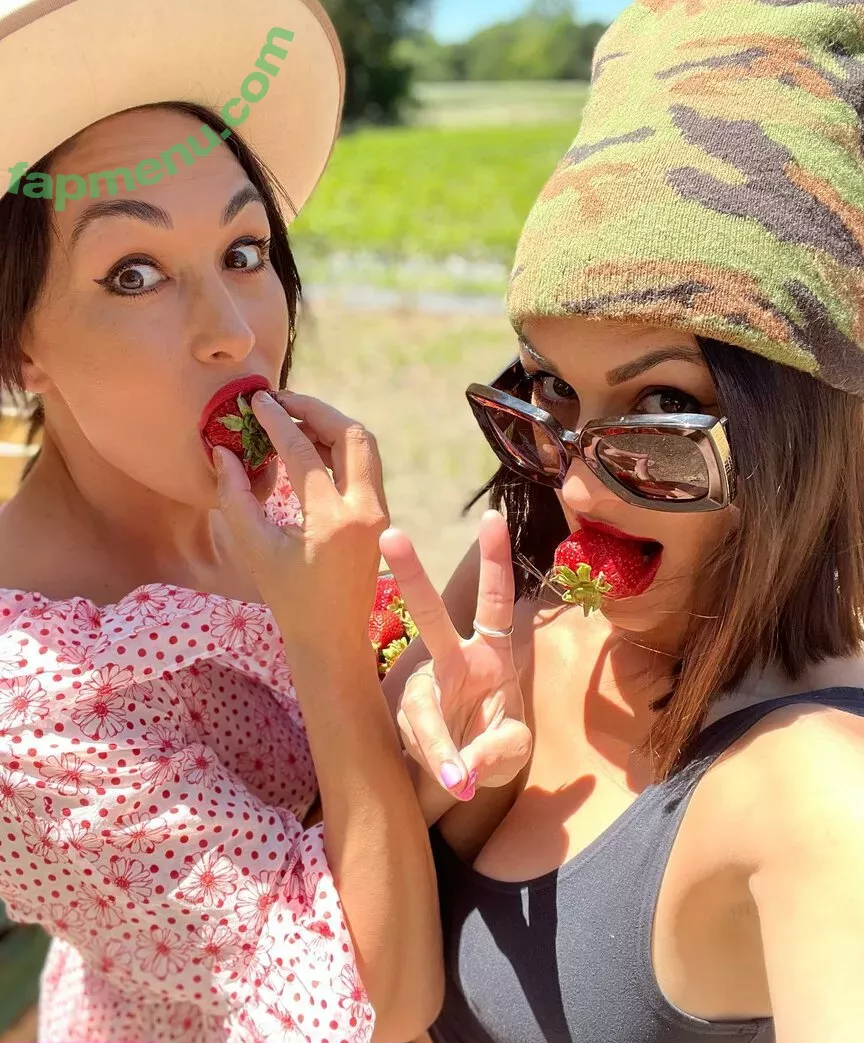 The Bella Twins: nude photo #0062 (Nikki Bella & Brie Bella / thenikkibella)