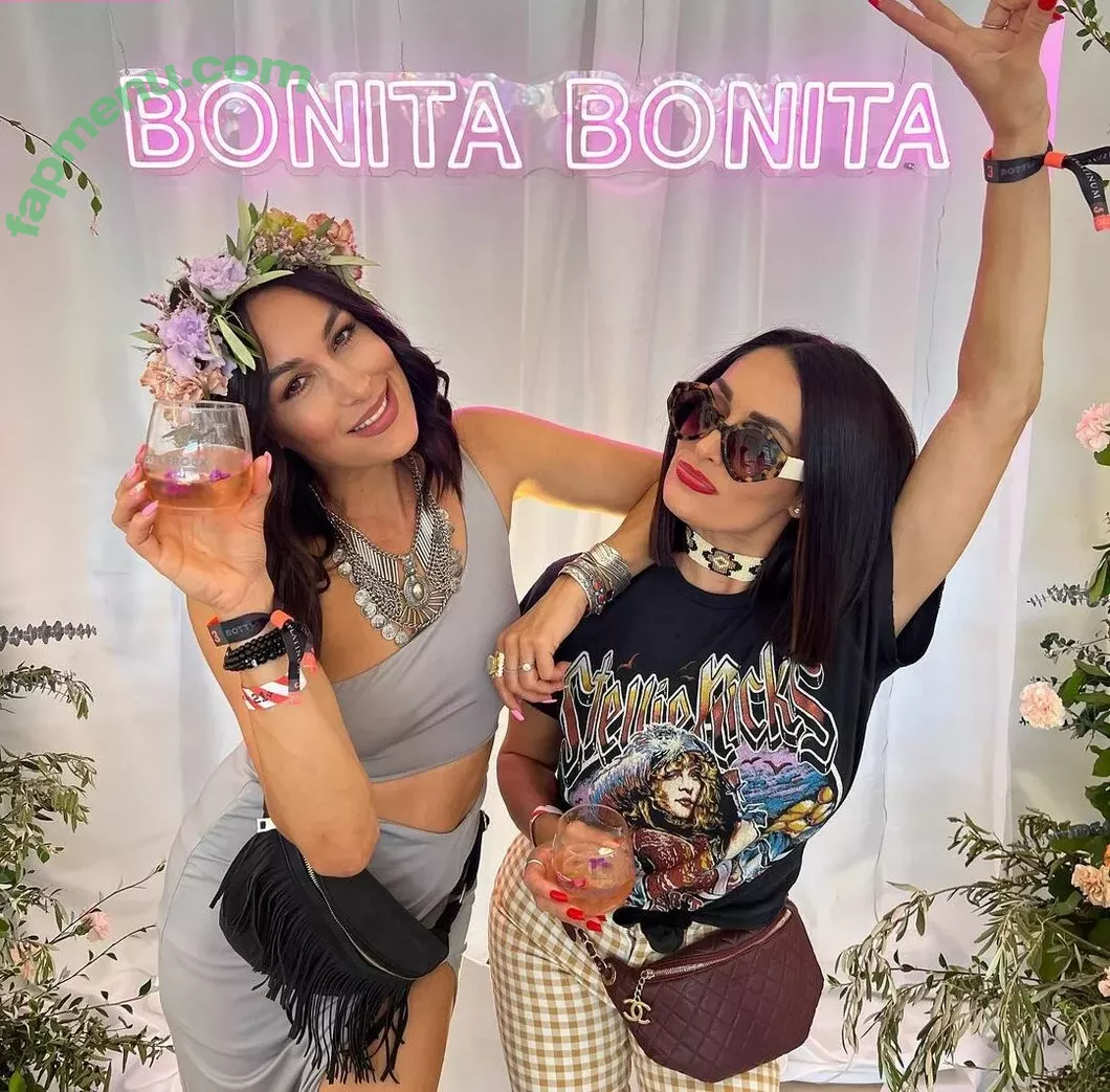 The Bella Twins: nude photo #0073 (Nikki Bella & Brie Bella / thenikkibella)