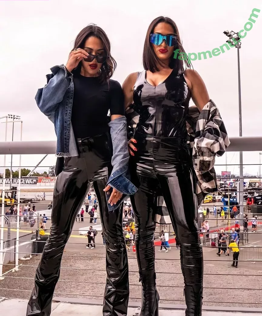 The Bella Twins: nude photo #0080 (Nikki Bella & Brie Bella / thenikkibella)