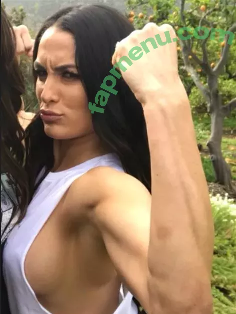 The Bella Twins: nude photo #0084 (Nikki Bella & Brie Bella / thenikkibella)