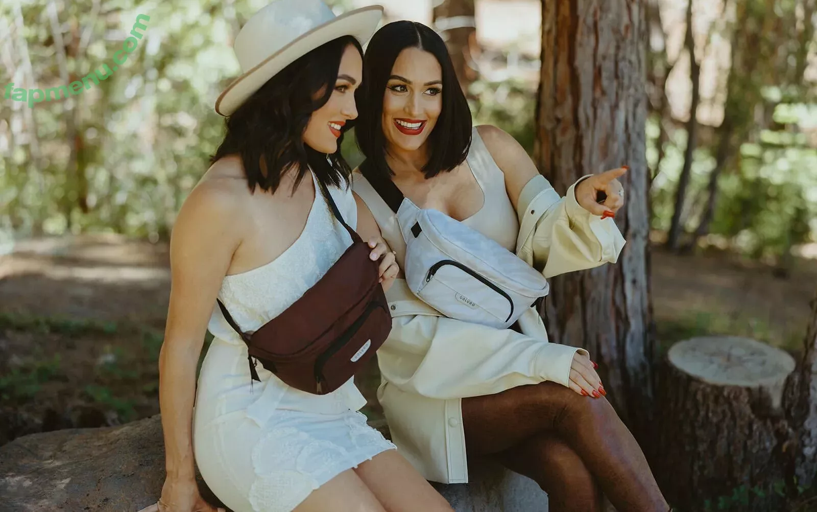 The Bella Twins: nude photo #0099 (Nikki Bella & Brie Bella / thenikkibella)