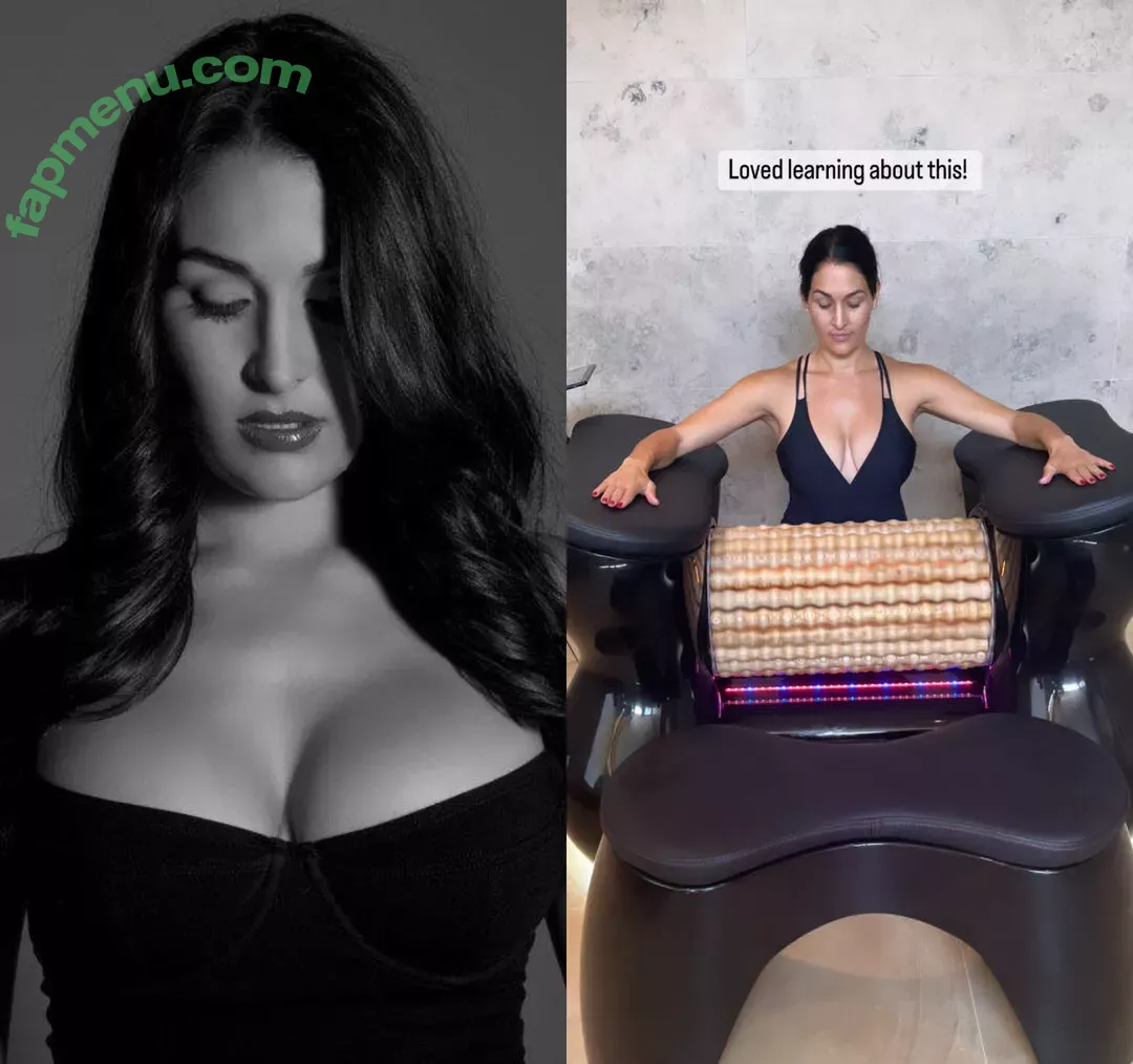 The Bella Twins: nude photo #0103 (Nikki Bella & Brie Bella / thenikkibella)