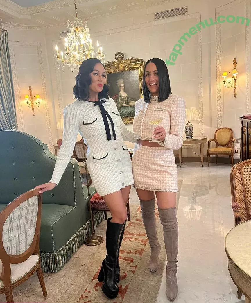 The Bella Twins: nude photo #0113 (Nikki Bella & Brie Bella / thenikkibella)