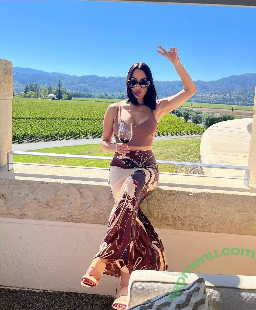 The Bella Twins: nude photo #0122 (Nikki Bella & Brie Bella / thenikkibella)