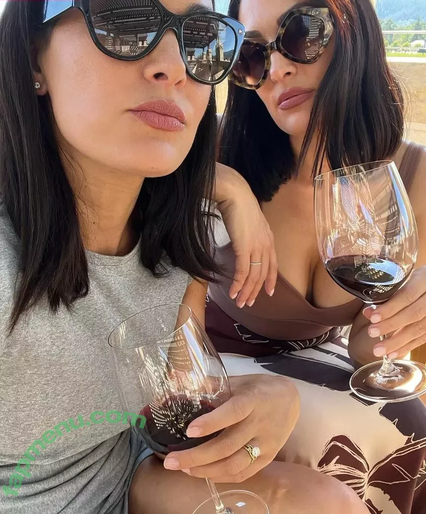The Bella Twins: nude photo #0129 (Nikki Bella & Brie Bella / thenikkibella)