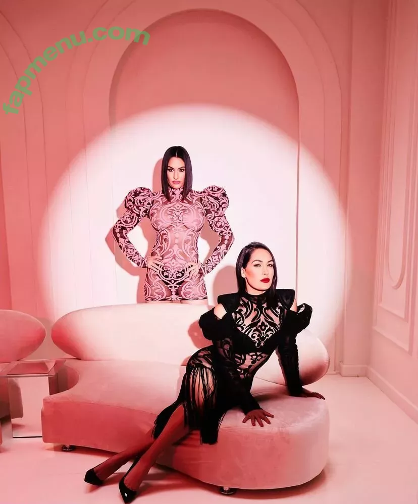 The Bella Twins: nude photo #0147 (Nikki Bella & Brie Bella / thenikkibella)