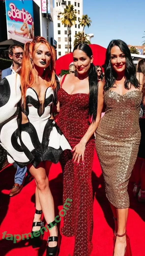 The Bella Twins: nude photo #0245 (Nikki Bella & Brie Bella / thenikkibella)