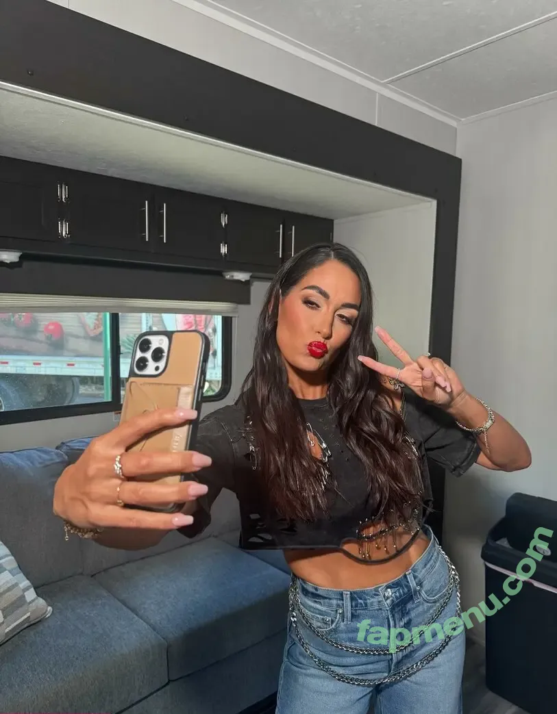 The Bella Twins: nude photo #0701 (Nikki Bella & Brie Bella / thenikkibella)
