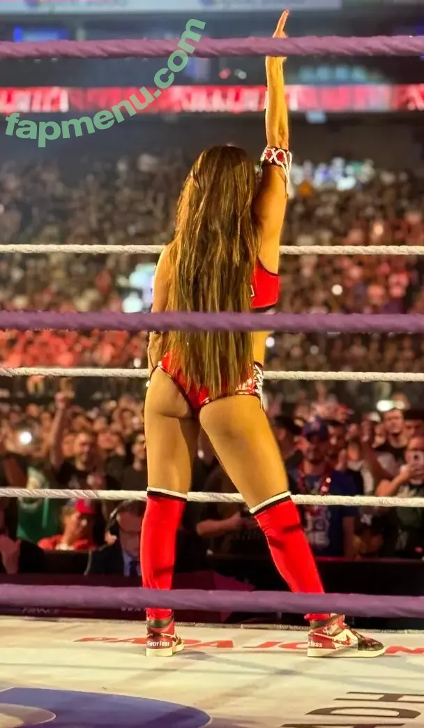 The Bella Twins: nude photo #0744 (Nikki Bella & Brie Bella / thenikkibella)
