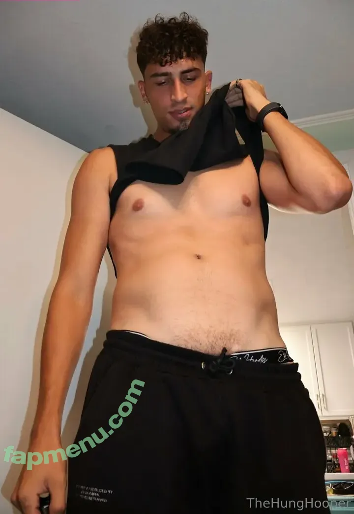 thehunghooper nude photo #0091 (hung_huge)
