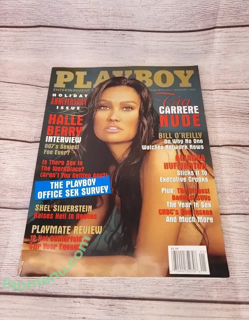 Tia Carrere nude photo #0102 (tiacarrere)