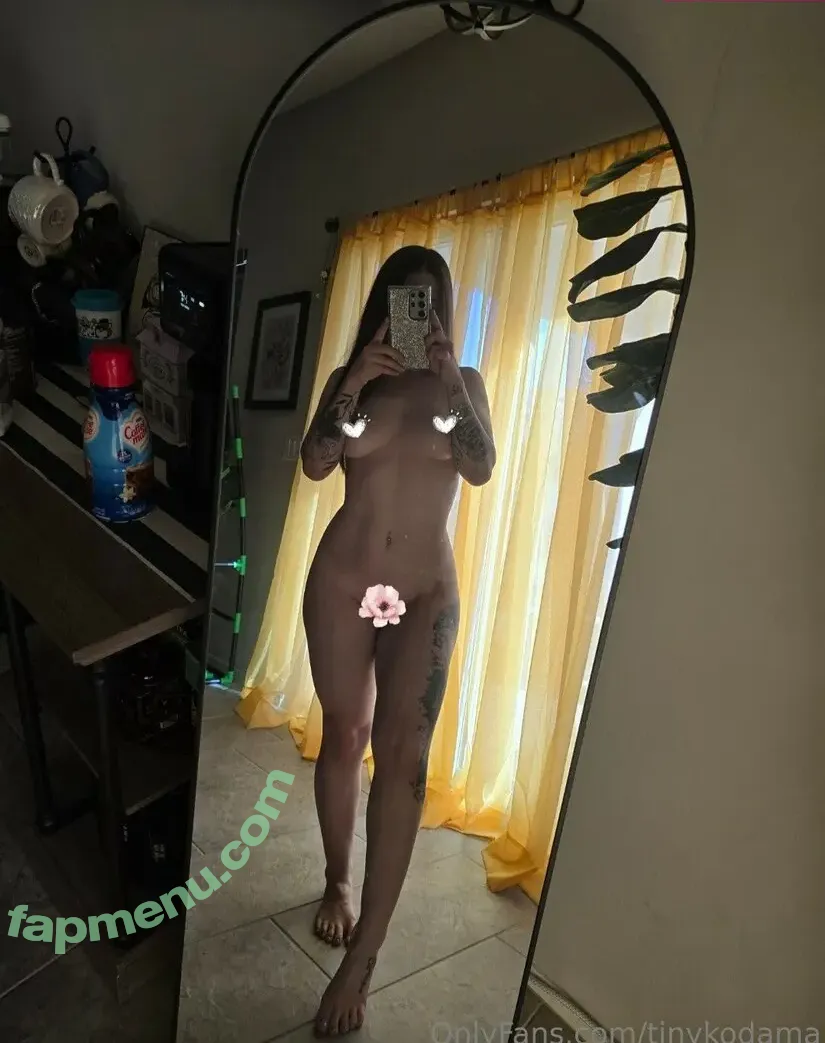 tinykodama nude photo #0012 (tinykodama)