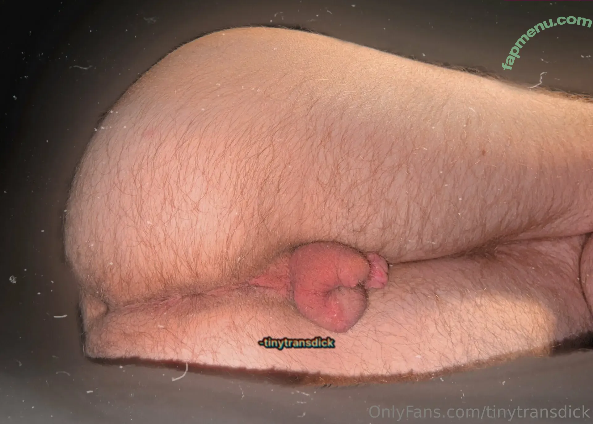 tinytransdick nude photo #0004 (tinytransdick)