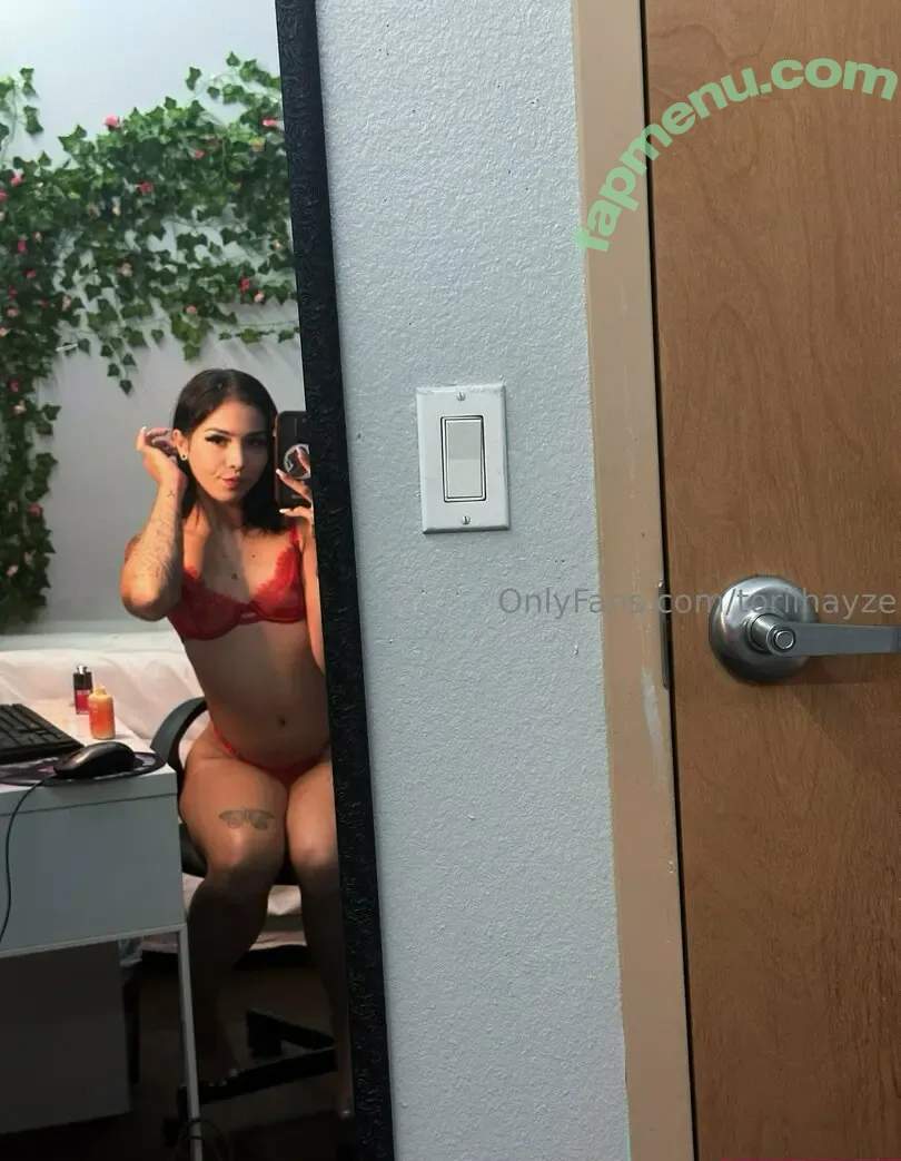 toriihayze nude photo #0020 (toriihayze)