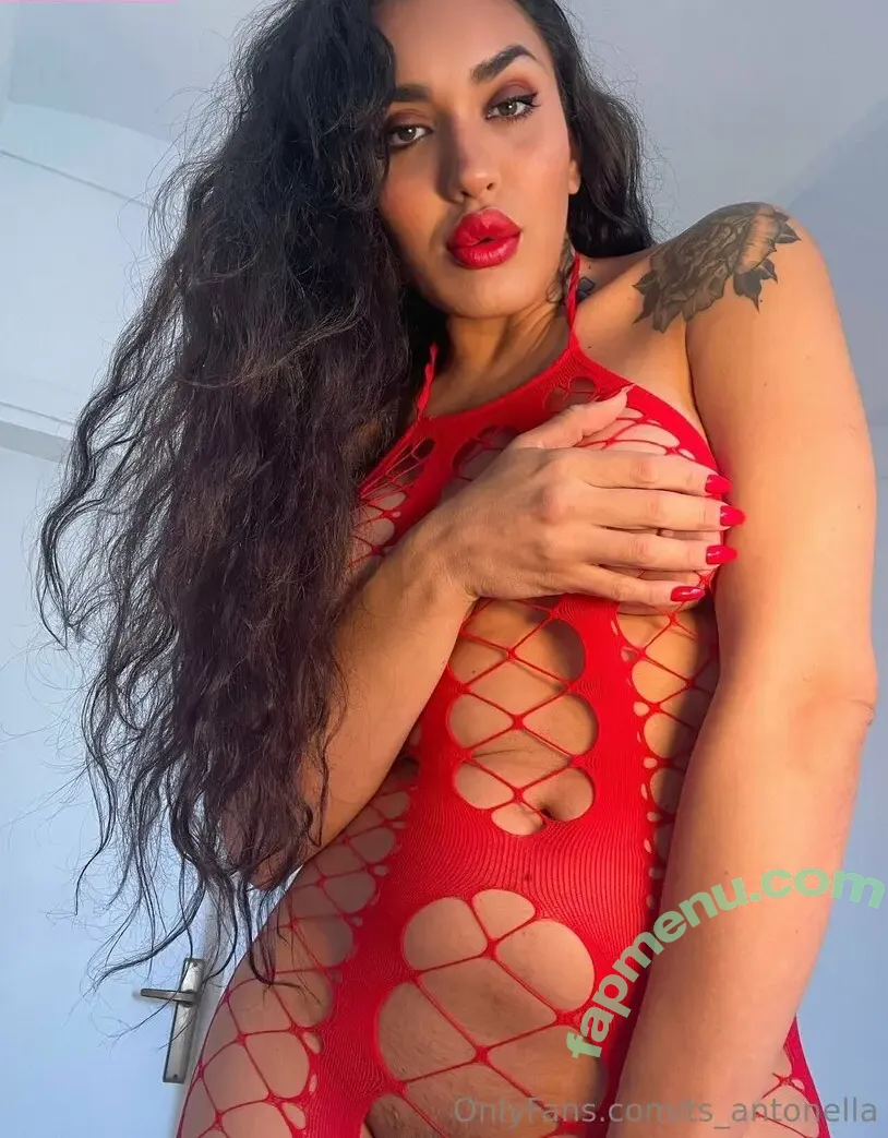 Ts.antonella nude photo #0112 (soyantonellag / ts_antonella)