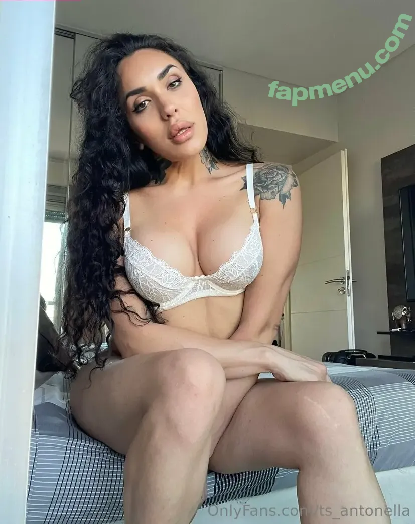 Ts.antonella nude photo #0149 (soyantonellag / ts_antonella)