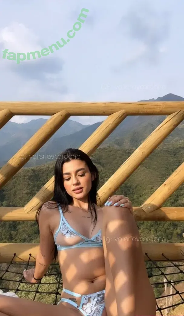 Valeria Cardona nude photo #0260 (valeriacardonaa / valeriavcardona)