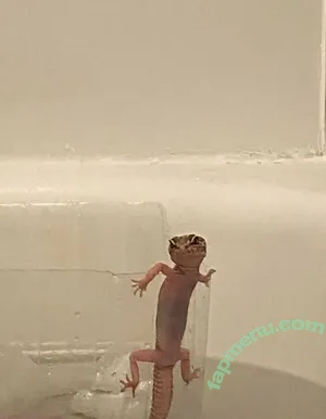  nude photo #0005