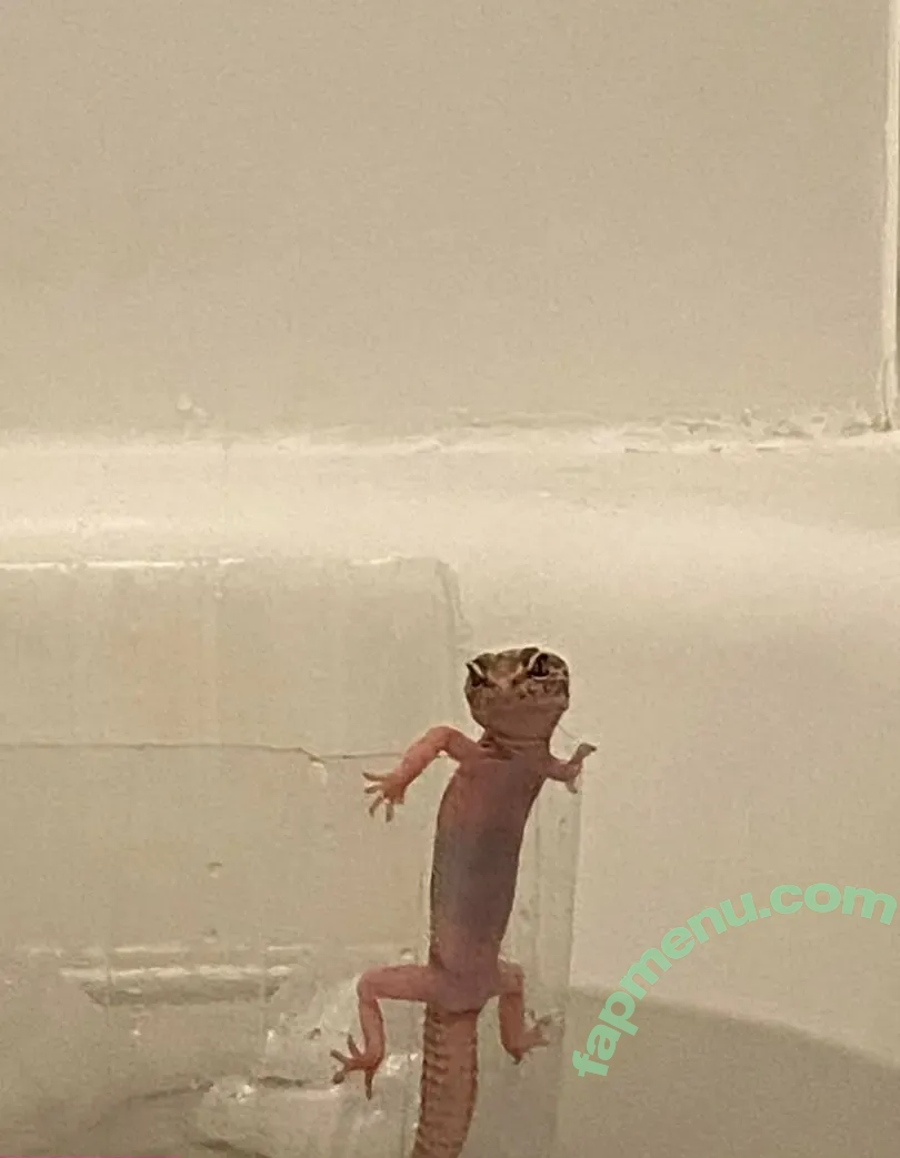 vdawggin nude photo #0005 (vdawggin)