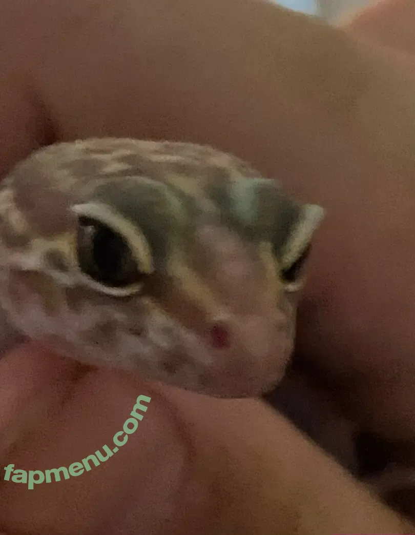 vdawggin nude photo #0007 (vdawggin)