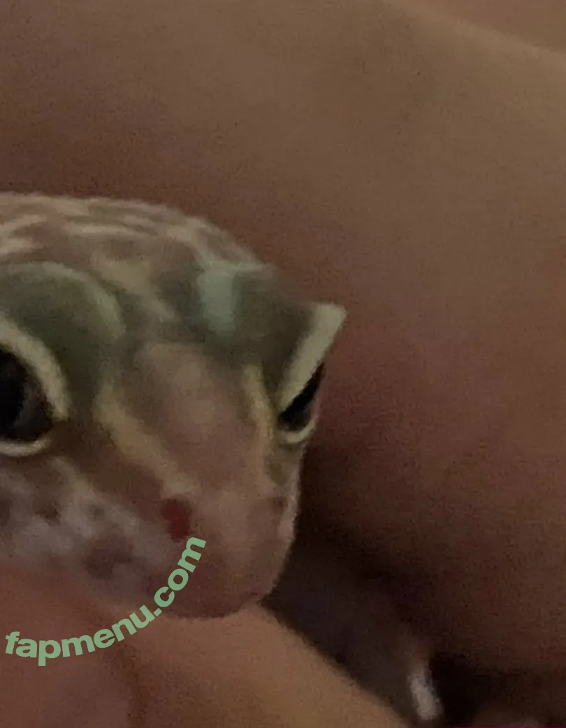 vdawggin nude photo #0008 (vdawggin)