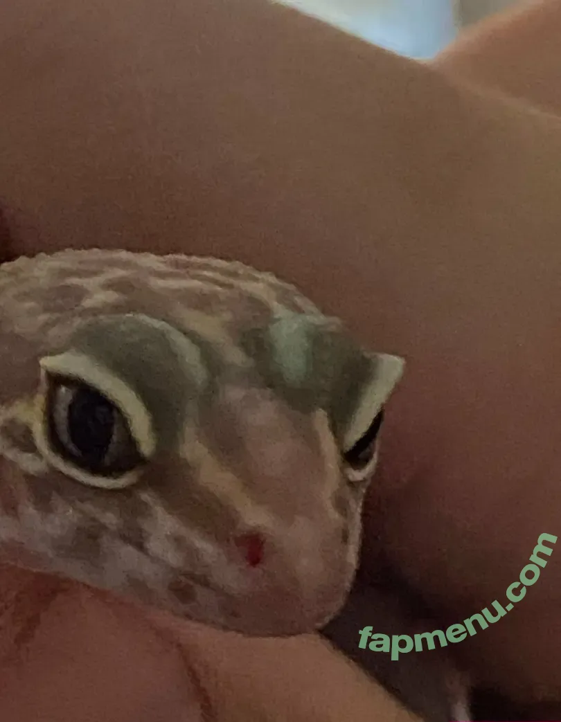 vdawggin nude photo #0009 (vdawggin)