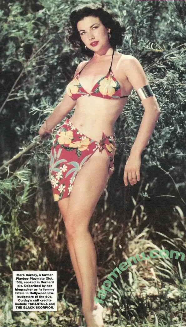 Vintage English Pinups nude photo #0406 (pinup_vintage_gallery)
