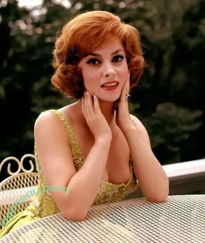 Vintage Sexy Celebs / vintagemoviestars nude photo #0093