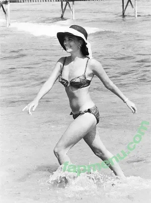 Vintage Sexy Celebs / vintagemoviestars nude photo #0195