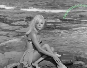 Vintage Sexy Celebs / vintagemoviestars nude photo #0220