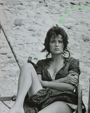Vintage Sexy Celebs / vintagemoviestars nude photo #0221