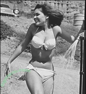 Vintage Sexy Celebs / vintagemoviestars nude photo #0274