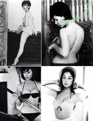 Vintage Sexy Celebs / vintagemoviestars nude photo #0277