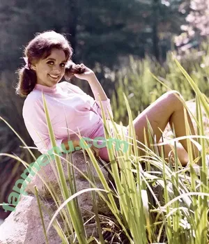 Vintage Sexy Celebs / vintagemoviestars nude photo #0375