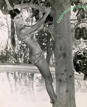 Vintage Sexy Celebs / vintagemoviestars nude photo #0470