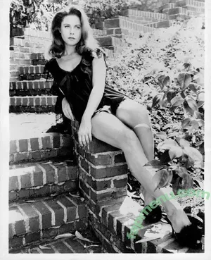 Vintage Sexy Celebs / vintagemoviestars nude photo #0509