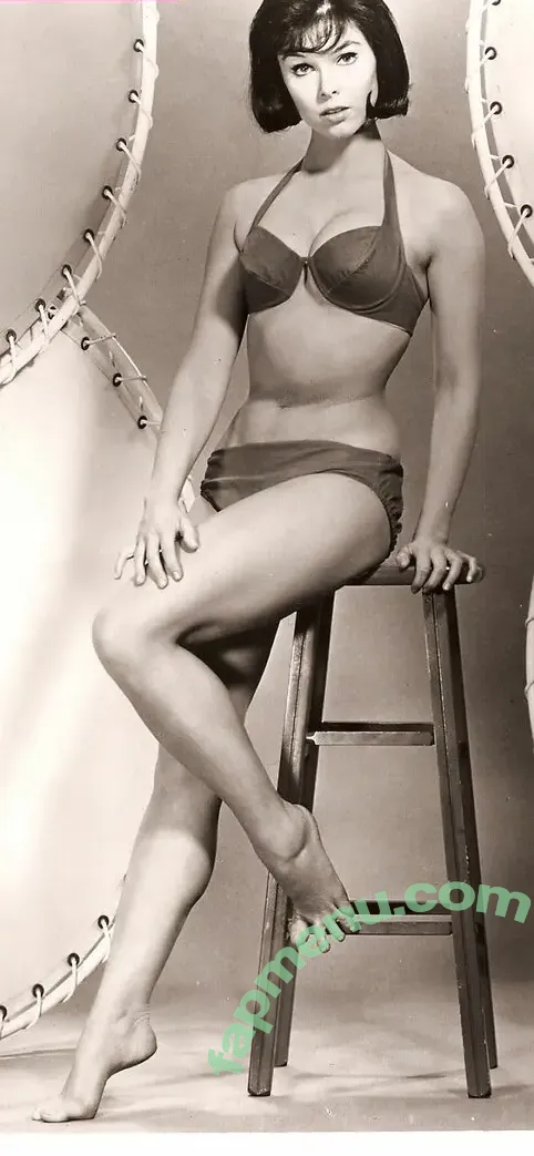 Vintage Sexy Celebs nude photo #0280 (vintagemoviestars)