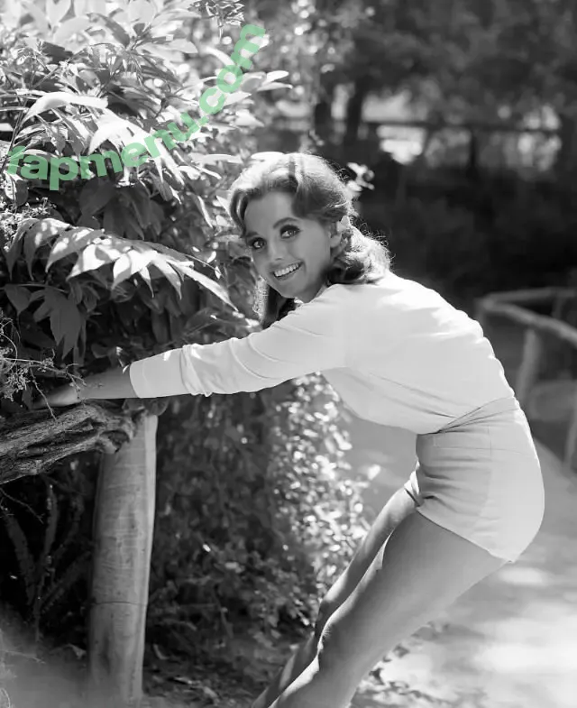 Vintage Sexy Celebs nude photo #0355 (vintagemoviestars)