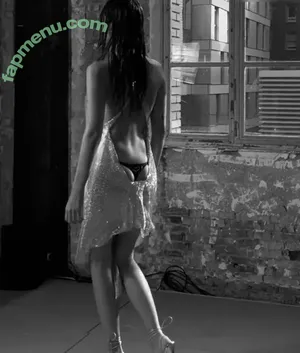 Vittoria Ceretti / vittoria nude photo #0060