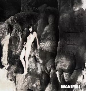 Wanimal Models / wanimal912 nude photo #0236
