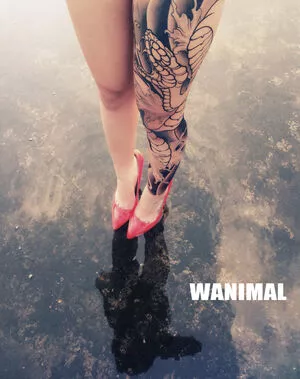 Wanimal Models / wanimal912 nude photo #0278