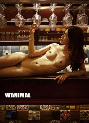 Wanimal Models / wanimal912 nude photo #0344