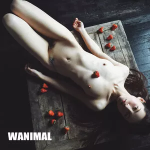 Wanimal Models / wanimal912 nude photo #0416