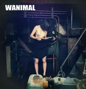 Wanimal Models / wanimal912 nude photo #0570