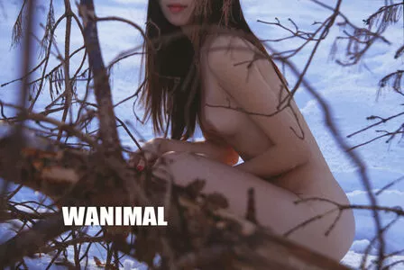Wanimal Models / wanimal912 nude photo #0596
