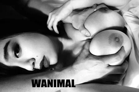 Wanimal Models / wanimal912 nude photo #0619
