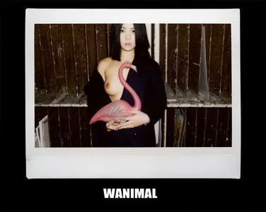 Wanimal Models / wanimal912 nude photo #0673