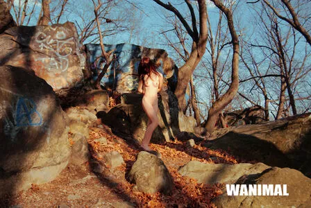 Wanimal Models / wanimal912 nude photo #0713