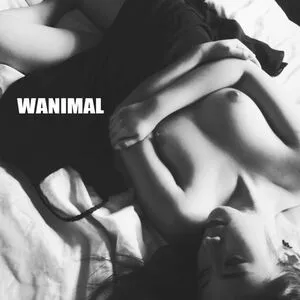 Wanimal Models / wanimal912 nude photo #0766