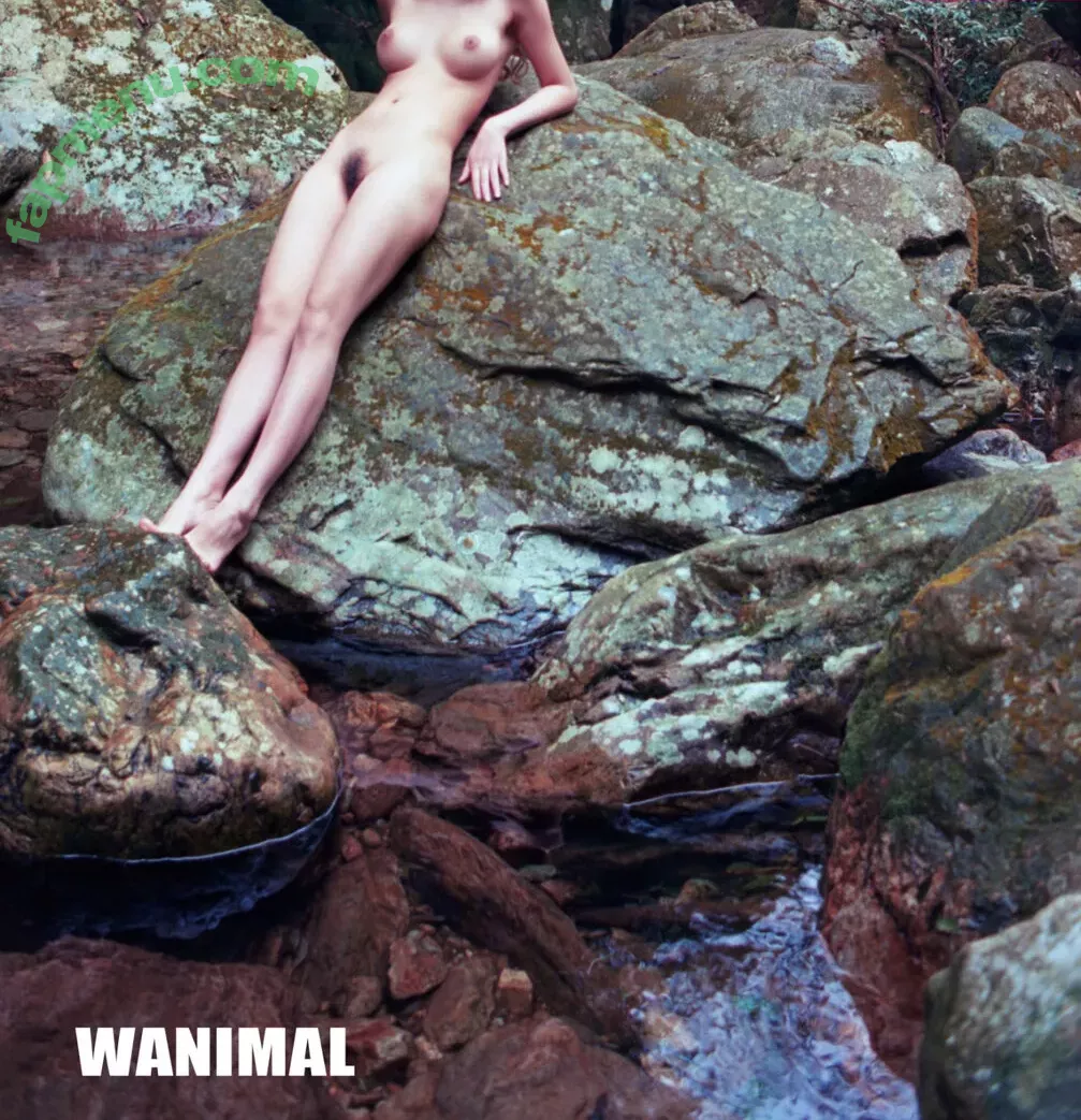 Wanimal Models nude photo #0294 (wanimal912)
